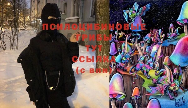 мяу мяу кристалл Алексин