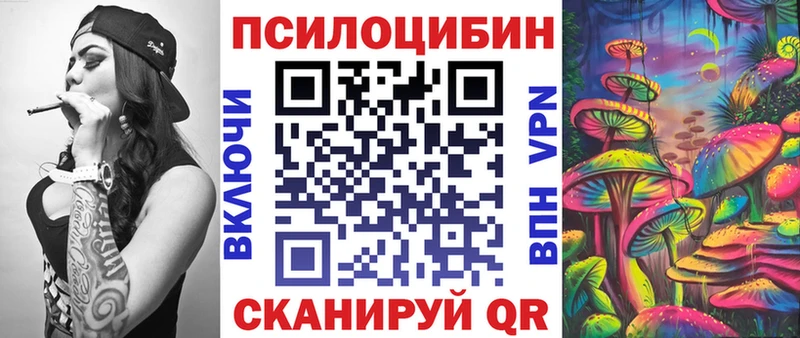 ссылка на мегу ТОР цены наркотик Щигры Галлюциногенные грибы Cubensis